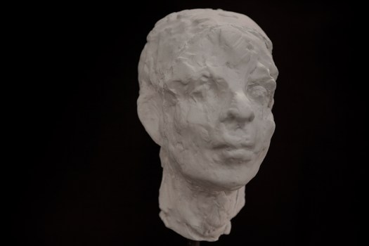 Buste en plâtre, vu d'ensemble.